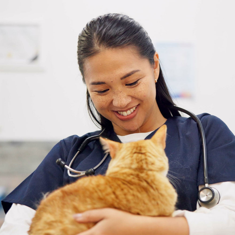 Animal Hospital in Anaheim - Compassionate Care