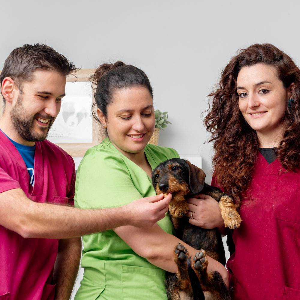 Careers at CASE Animal Hospital Careers at CASE Animal Hospital