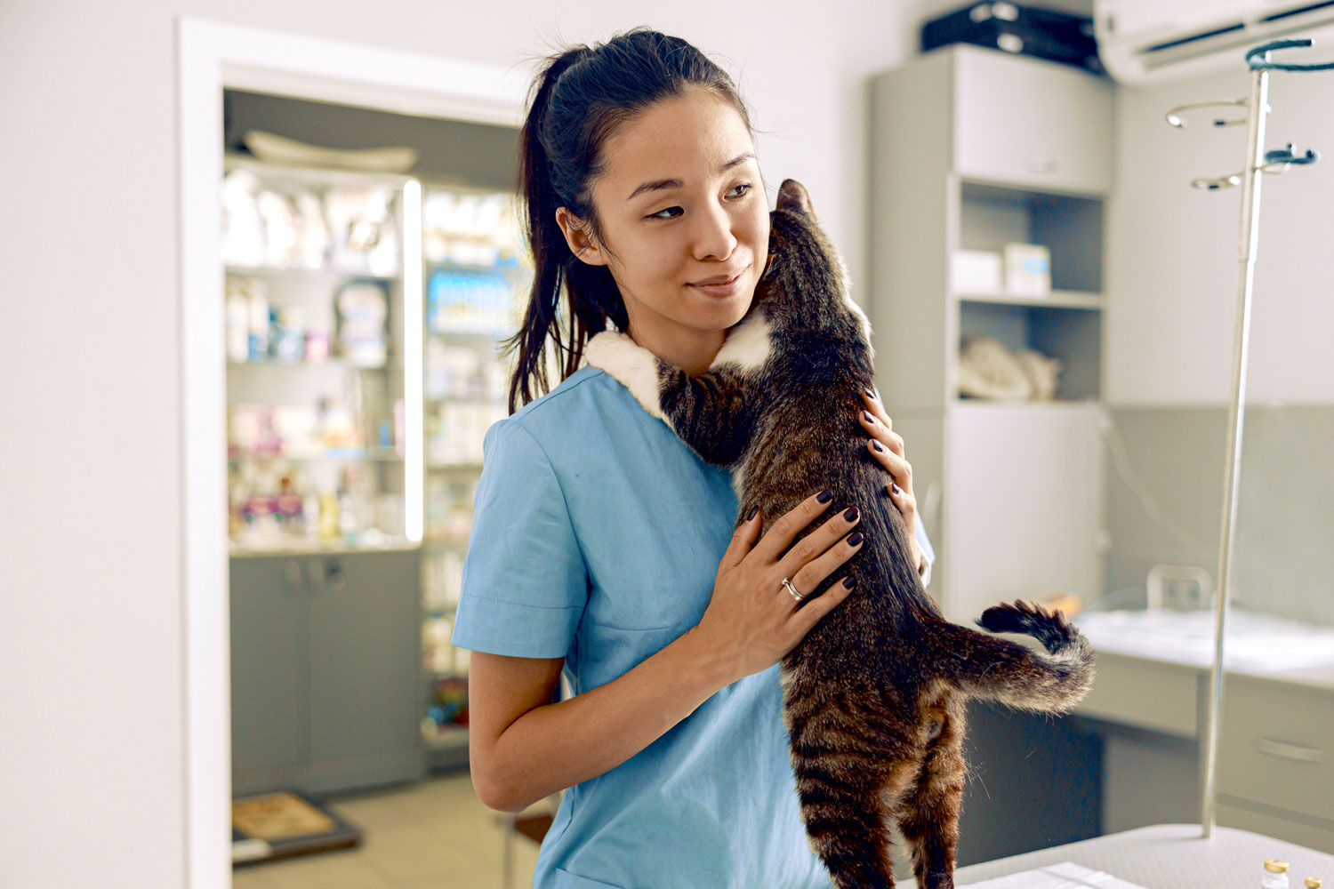 Vet with Great Results - CASE Vets in Anaheim