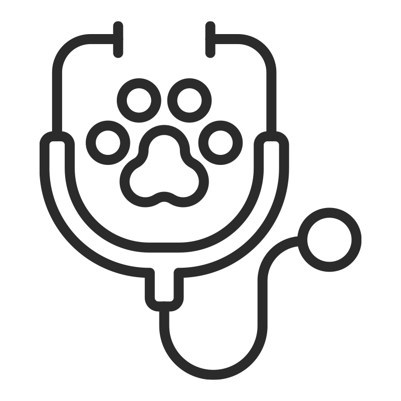 Comprehensive Care - Best Vet in Anaheim - CASE Vets