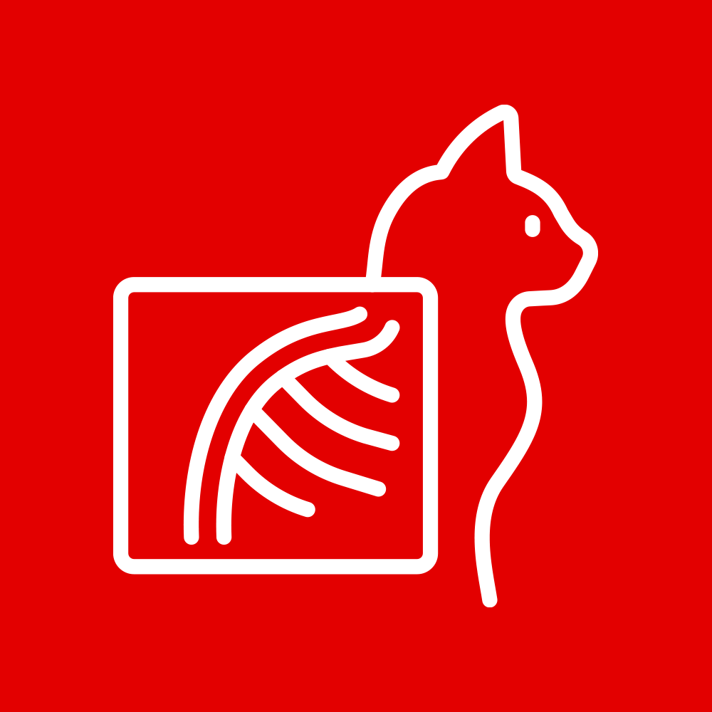 Advanced Imaging and Diagnostics - CASE Animal Hospital