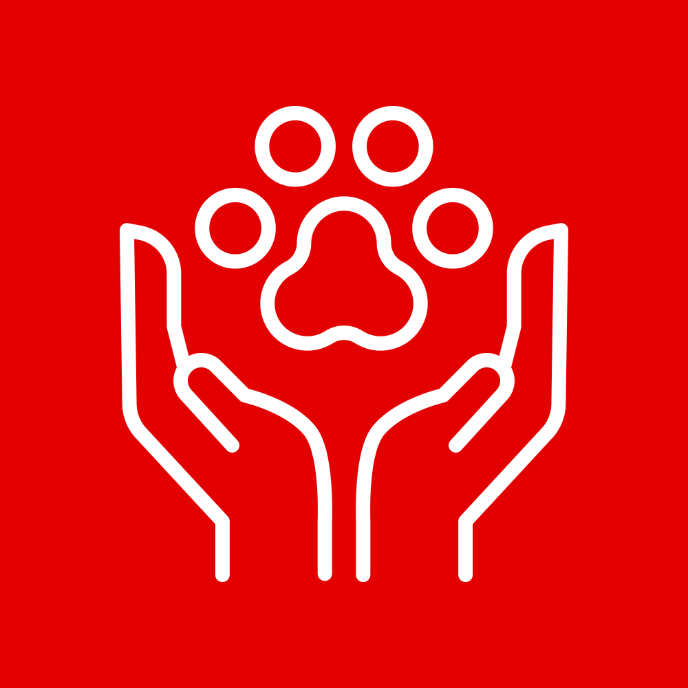 Pet Oncology and Cancer Treatment - CASE Animal Hospital