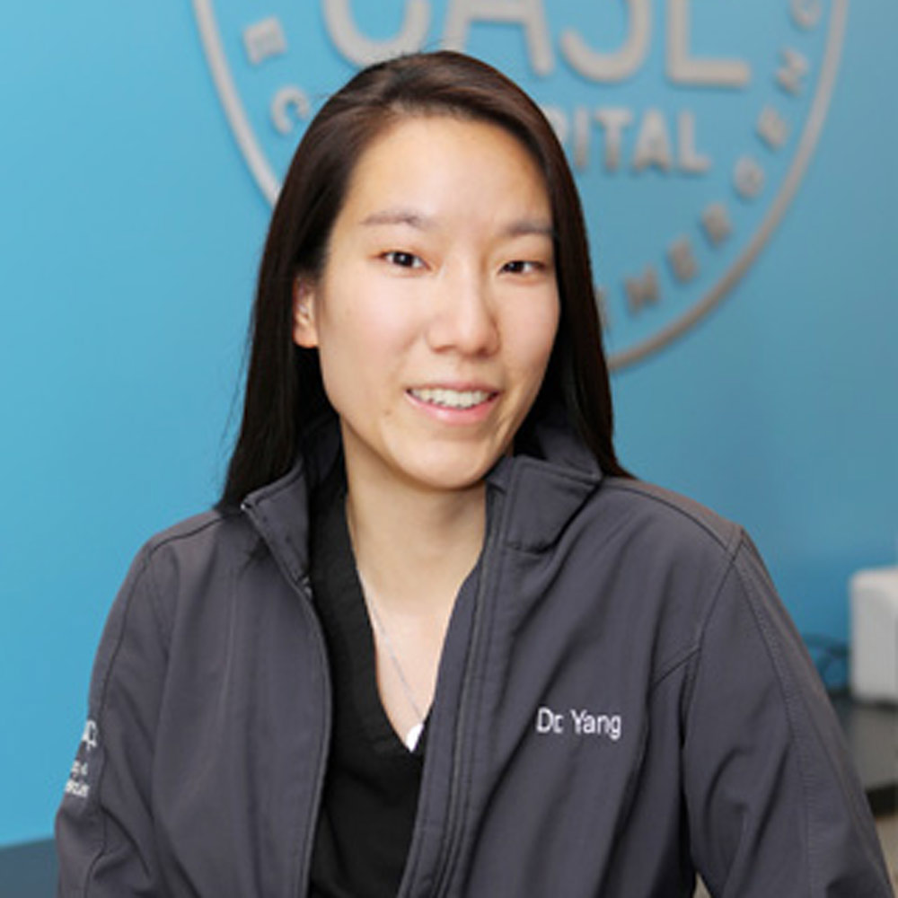 Dr. Esther Yang, DVM - CASE Animal Hospital in Anaheim