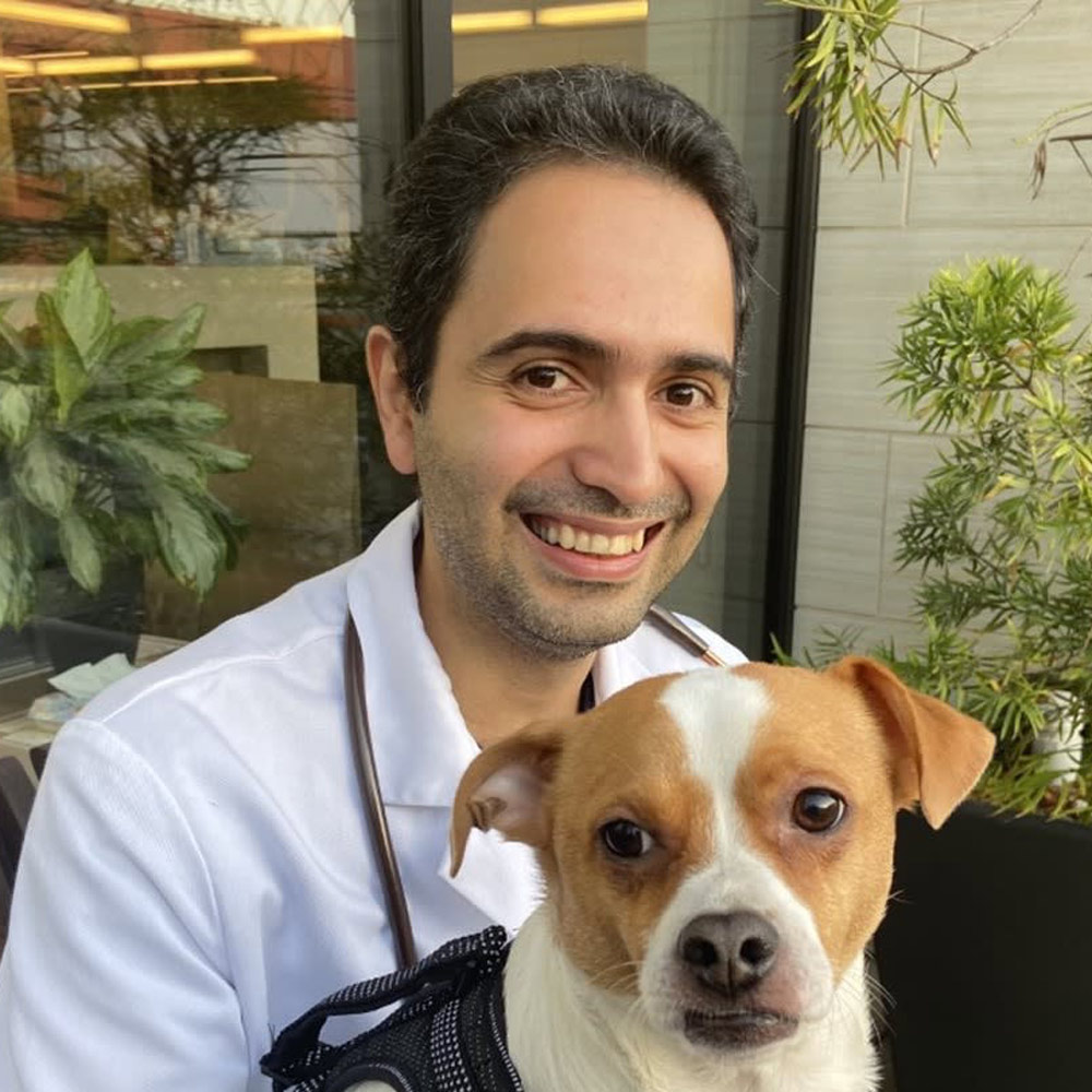 Dr. Yaz Aryazand - Surgery Department - CASE Animal Hospital