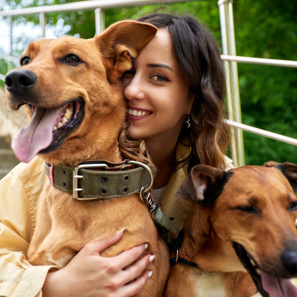 Dog Heart Health and Cardiology Services in Anaheim by CASE Animal Hospital