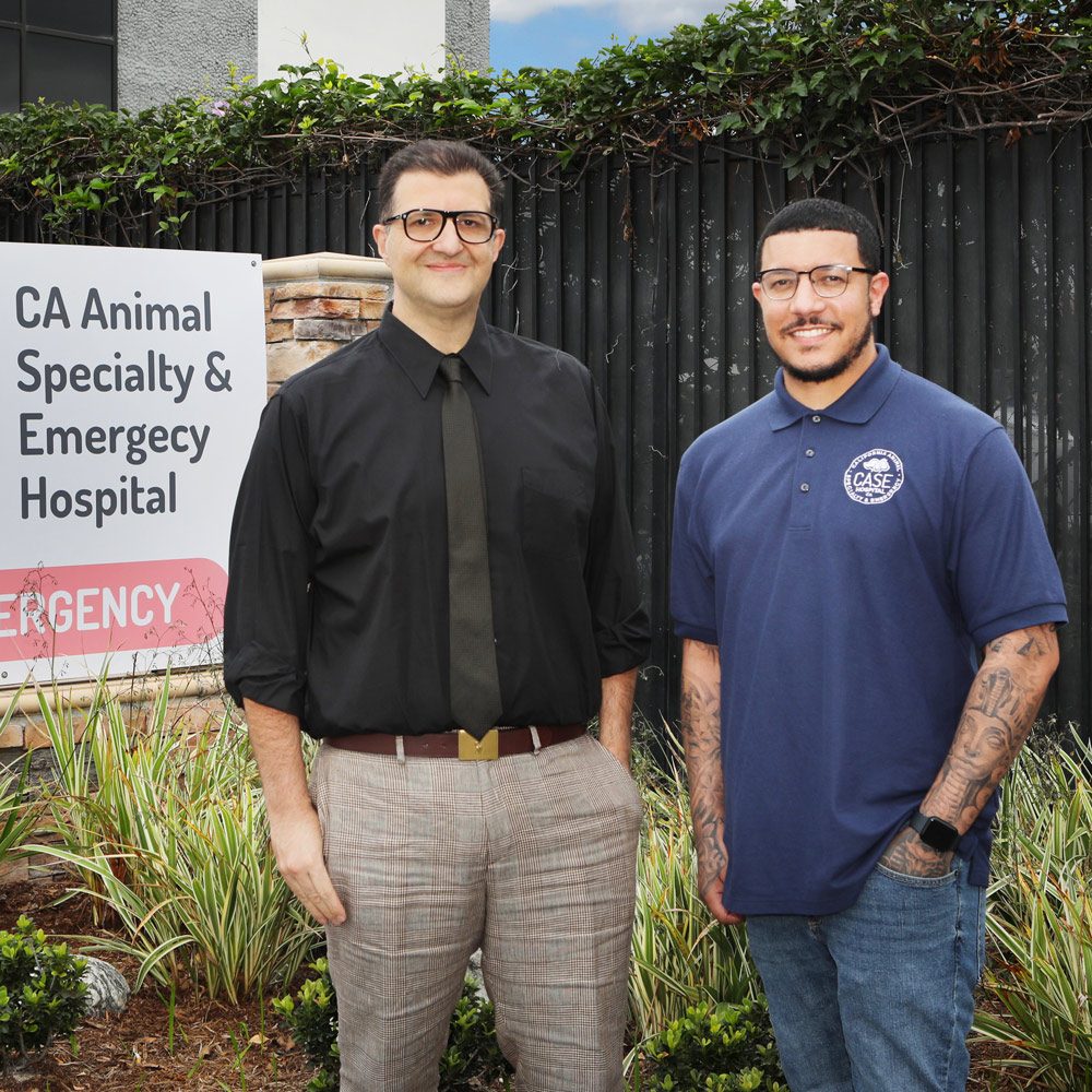 Our Team at CASE Animal Hospital in Anaheim