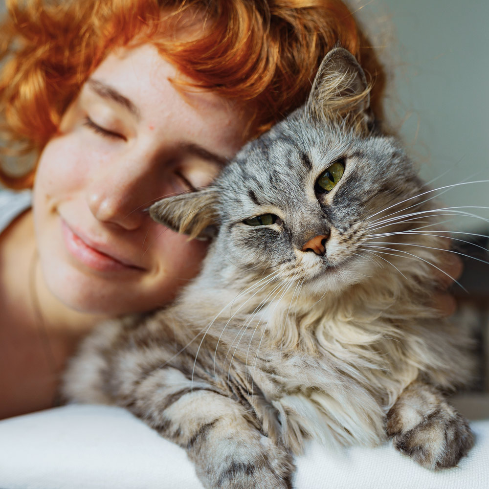 Payment Options for Our Pet Parents - CASE Animal Hospital Anaheim