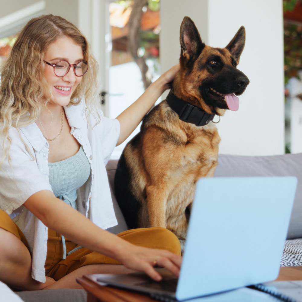 Pet Resources / Websites - CASE Animal Hospital Anaheim