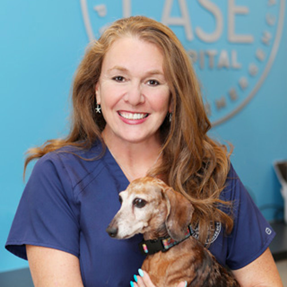 Lora - CASE Animal Hospital in Anaheim