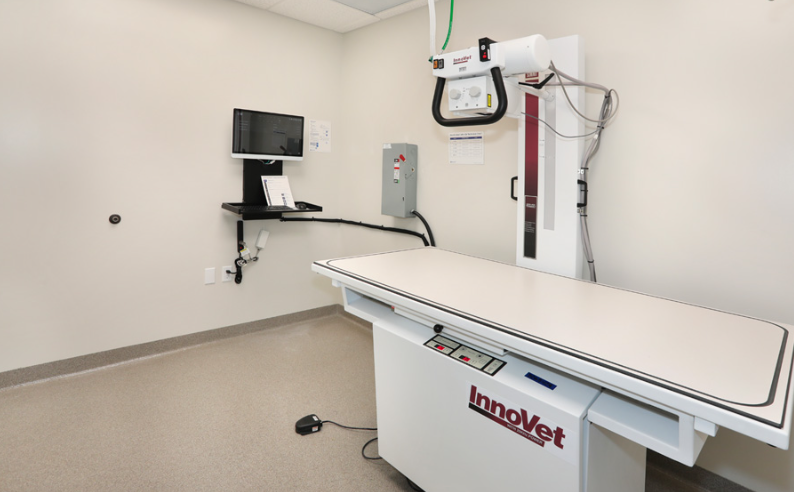 Digital Radiography