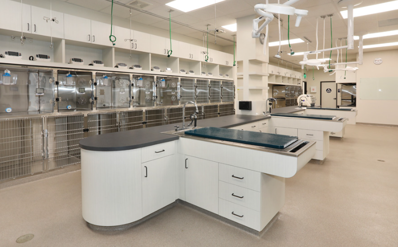 Continuous vital monitoring