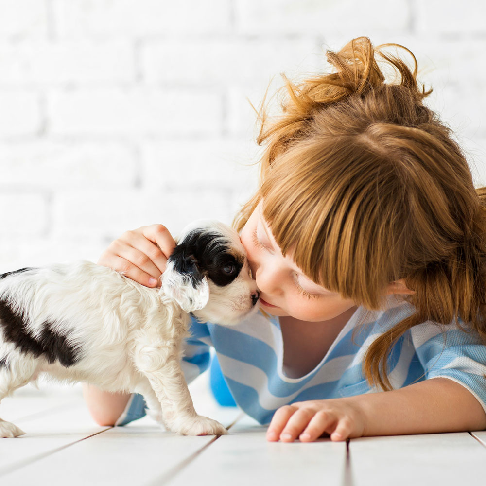 Pet Articles, Helpful Tips, and News for CASE Animal Hospital