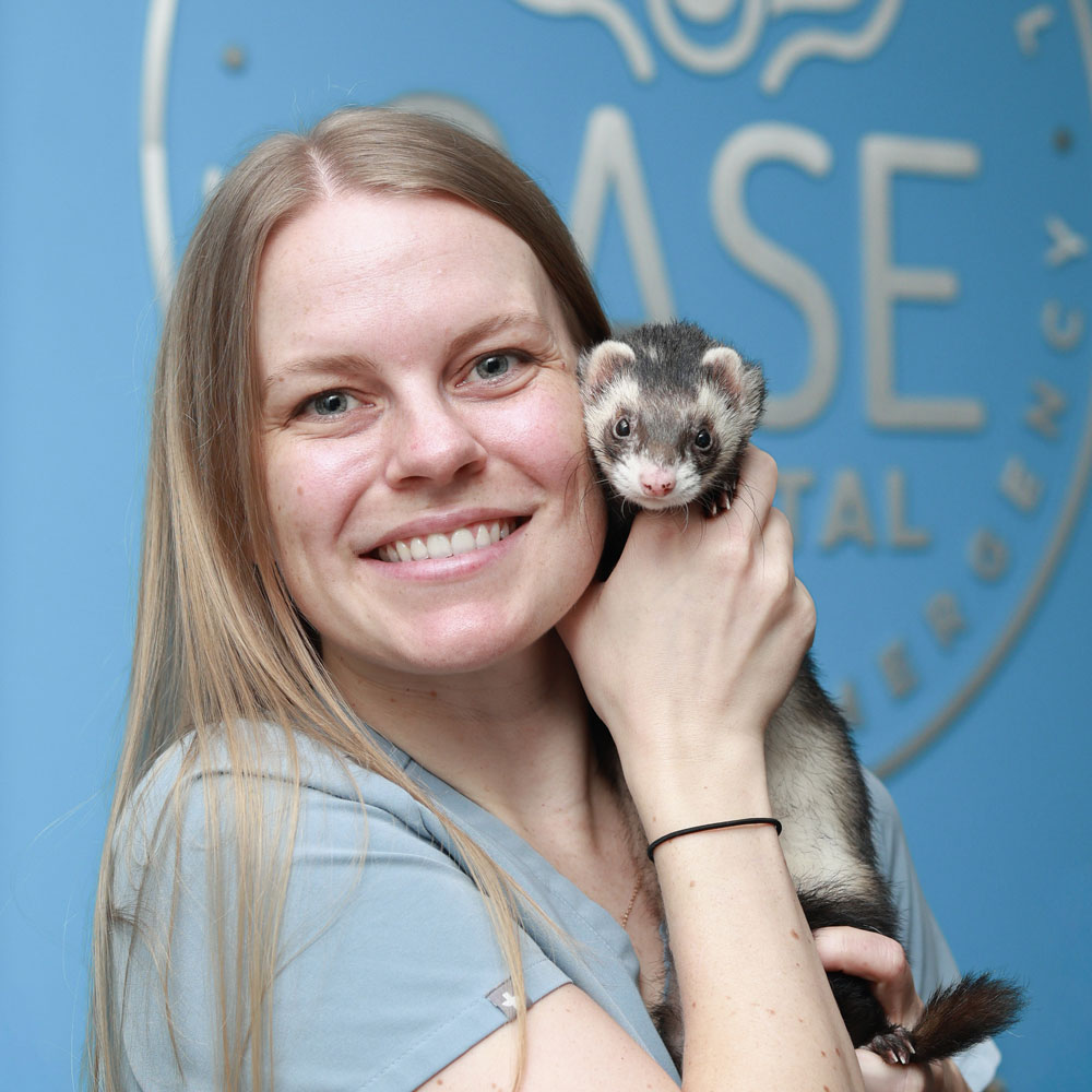 Dr Shannon Lloyd - ER Doctor at CASE Vets in Anaheim CA